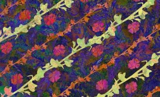 官场微小说：一推再推_政法系统