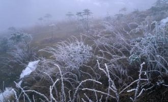 官场小小说：脱贫_脱贫攻坚
