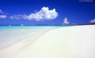 强势镇长初露锋芒，却被完全架空，真相不寒而栗_副镇长