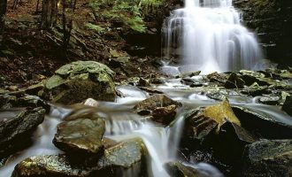 乡镇工作面临的压力真的很大_乡镇长