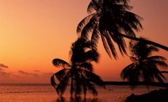 猪八戒是不用干基层的？！（深度好文）_基层党组织