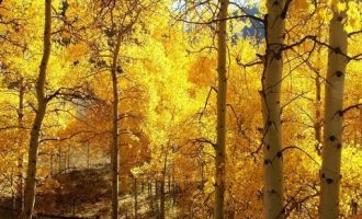 人民日报：你凭什么在单位立足？（建议收藏）_监察建议书