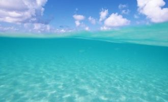 最新！贵州省事业单位公车改革实施意见及22条政策解读_贵州省公务员