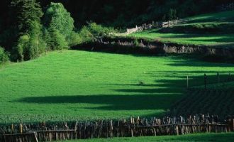 公职人员夜生活曝光……（乡镇篇）_乡镇长