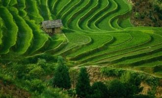 一个公务员的年终总结，精辟！_海南公务员