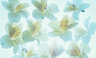 70后80后90后，谁是体制内最尴尬的一代？分析得真透彻！_遴选面试