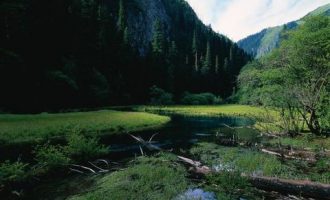 为你奉上，上半年意识形态工作总结，笔杆子力作!_年度总结