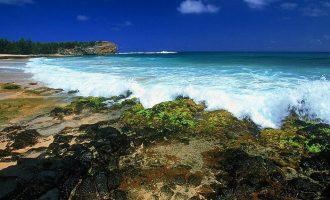 官场微小说：让老黄牛吃香，单位才能更有希望！_温州事业单位