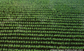 一个女乡镇公务员的自白：我一定要考到城市里去_公务员岗位