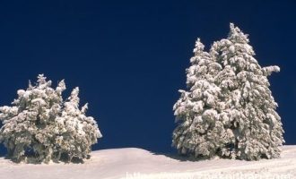 12项补贴待遇被勒令取消！公务员比你想象的穷多了！_福建省公务员