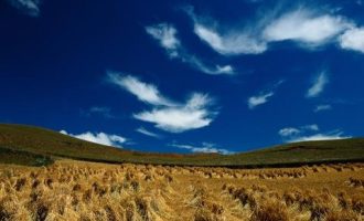 公安提醒：这8个人正在朋友圈窃取你的信息，赶紧拉黑！_公安工作