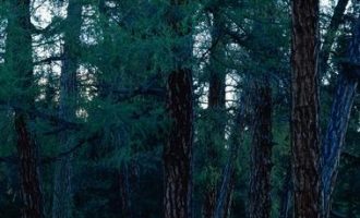 落实政策：派出所收入高于机关同级民警10%以上_人民警察