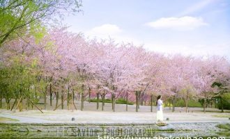 2020年赣州市遴选热点：把赣州红色旅游真正做“红”_北京税务局公务员遴选