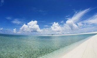 值得追随的领导：常有10特征_梦到领导