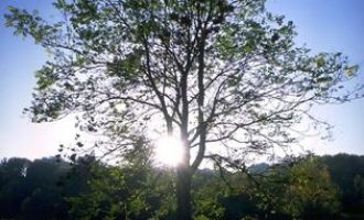 是什么让晋升难、加班多、工资低的公务员都乐开了花？！_省公务员