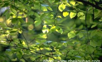 一个乡镇新人的“经验”之谈，乡镇和你想象的不一样！_经验总结