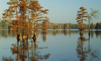 取消事业编制！2020年全部完成！这些地区已经实施！这类人的工资将上涨！_编制考试
