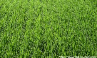 基层看才能、中层看德行、高层看胸怀！_基层