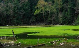 原来领导的手机没坏啊！！太现实_新领导