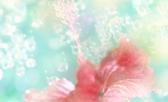 请吃饭—2017最佳小小说！_文函