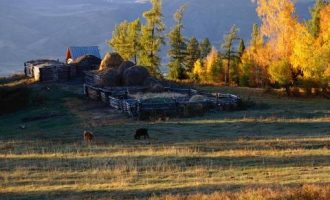 特岗教师招聘5918人，专科可报！_农发行招聘