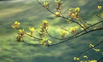 市长直提副省长，他的文章文采熠熠！_副省长