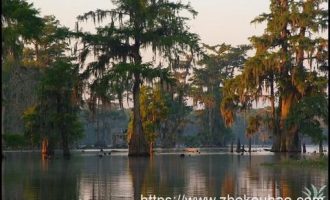 穿800元西装被调侃，副市长动摇了…_温州市市长