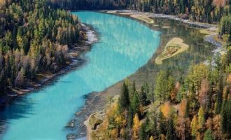 【重磅】中共中央印发《关于加强党的政治建设的意见》(全文+答记者问)_公检法