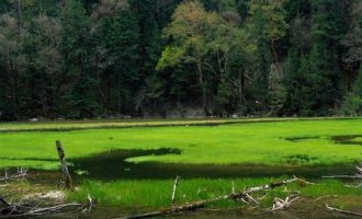 局长，你裤子拉链没拉上！_信访局长