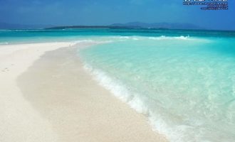 他在机关被局长疯狂打压，他不知道他的生父其实是一位省委书记_教育局长