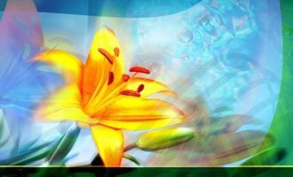 最负能量的50句话（你一定也被负到了）_干部相关词_1646788150