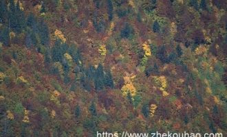 国庆最新材料汇编（含党课、讲话、活动方案等），一键打包下载！_部队文职