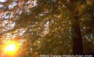 读懂这句话，仕途将一帆风顺_仕途