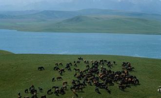 办会、办事、办文，体制内新人想晋升要抓住重点……_办事员