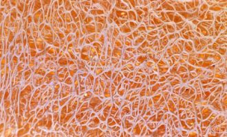 掷地有声！习近平进博会开幕演讲10大金句_云南省公务员