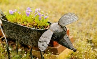 公安部发布最全电信诈骗方式_公安部部长