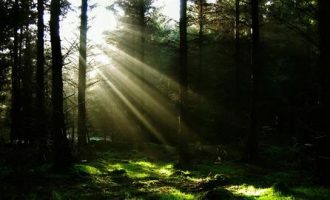 重磅！180万字的主持词汇编大全，你要的这里都有！_会议主持词