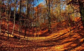 新华社：3年牺牲100多名基层扶贫干部，应给奉献者更多关爱！_扶贫攻坚