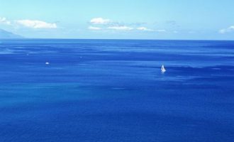 4559424_湖南省省长