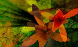 人民日报：从疲劳到癌症只需四步！你是单位的草，却是家庭的天！请保重身体!_政治处