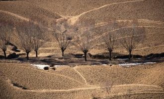 不容错过：又一篇高水平的省委书记演讲稿！笔杆子们，收藏吧…_新疆省委书记