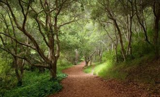 乡镇干部：不为煽情，不为正名，因为触动，所以致敬。_乡镇干部