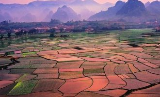 速领！公务员必读书0元邮送！_广东公务员