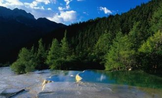 机关单位工作新规15条！看完我震惊了！_行政机关