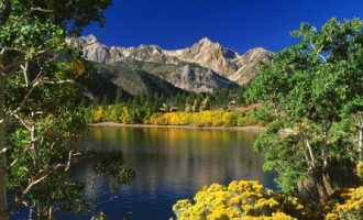 重磅！两市事业单位联考出公告，全部编内，9月5日笔试！_江苏事业单位