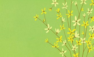 官场微小说：差一点儿_基层工作