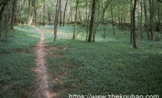 官场小小说：免单_农财科