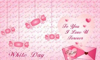 2020年公文写作范文：致全乡人民的一封信_2020年昭通纪委遴选