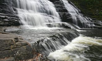 安心吃大肉！我刚投了一小笔巨款！_群众