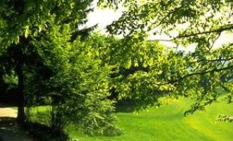 “老子不批你能转正？”公安厅强势表态：你好大的官威！_公安厅厅长